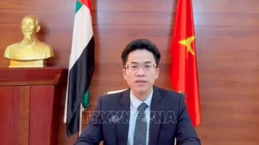 UAE a vital market of Vietnam in Middle East: Ambassador